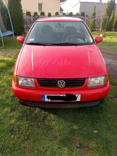 Vw Polo Szewce - zdjęcie 1