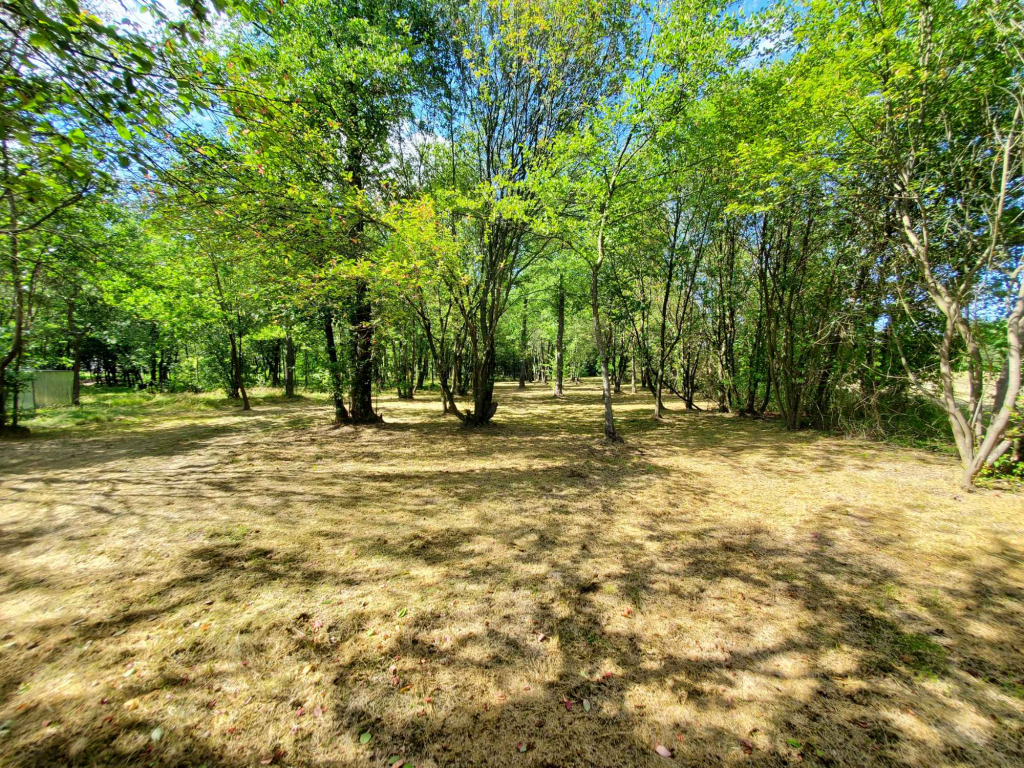 Działka rekreacyjna 30 arów nad rzeką lubaczówka. Czerwona Wola - zdjęcie 6