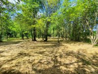 Działka rekreacyjna 30 arów nad rzeką lubaczówka. Czerwona Wola - zdjęcie 6