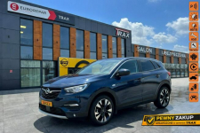 Opel Grandland X 1.2 130KM ,Krajowy, Serwisowany ASO ,Bezwypadkowy
