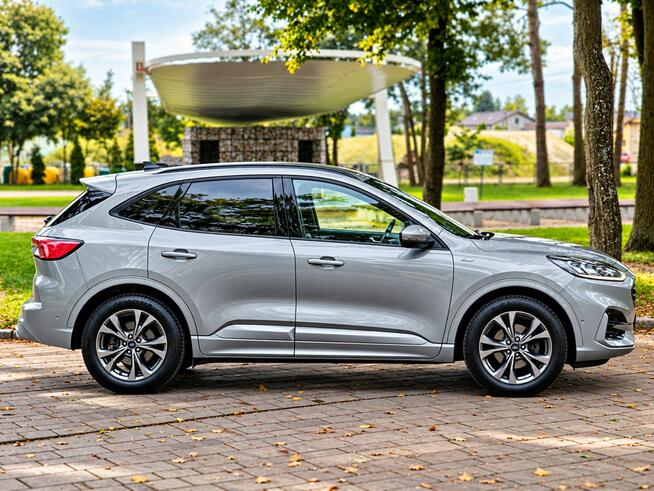 Ford Kuga Sadlno - zdjęcie 4