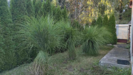 Sprzedam ogródek działkowy z domkiem murowanym R.O.D. Wiarus Balice Balice - zdjęcie 7