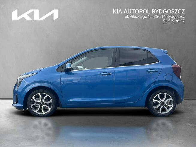 New Picanto 1.2MPI 79KM 5AMT MY25 Bussines Line Bydgoszcz - zdjęcie 2