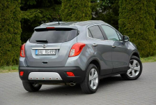 Innovation bi-Xenon Ledy Navi Skóry Grzana Kierownica Parktr. Aso Opel Ostrów Mazowiecka - zdjęcie 5