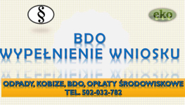 Sprawozdanie do BDO, t504746203. Pomoc, obsługa firm. Raport za odpady Psie Pole - zdjęcie 10