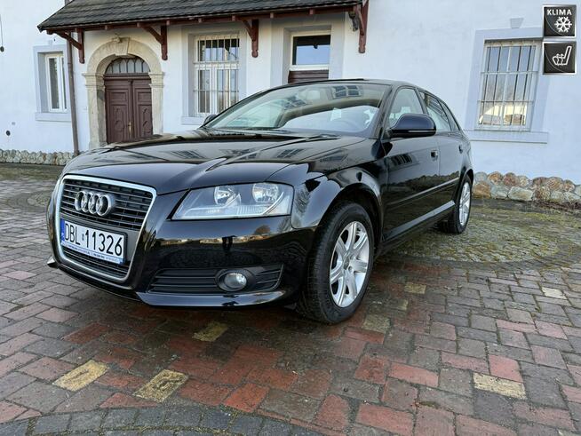 Audi A3 1.6MPI 102KM Sportback z Niemiec Zadbany Facelift Ocice - zdjęcie 1