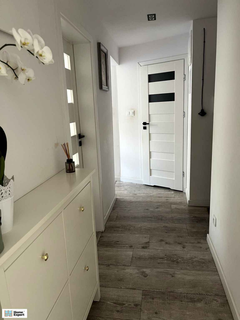 2pok, 49met, okolice Żeromskiego PIWNICA (Wrocław) Śródmieście - zdjęcie 5