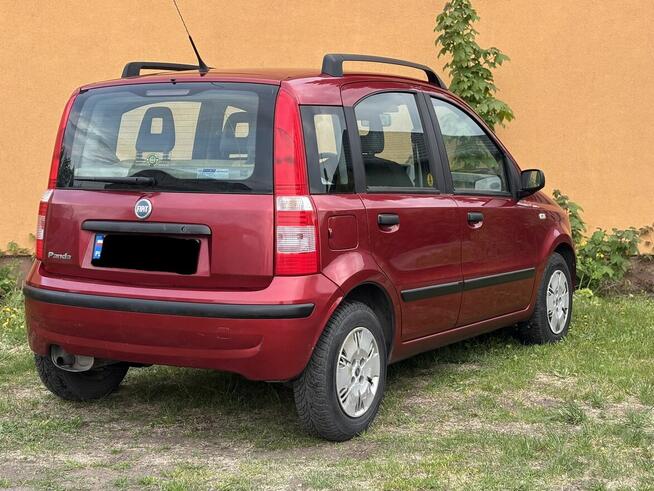 FIAT PANDA 1.2 Benzyna |Niski Przebieg||Wspomaganie Kier.| Witowo - zdjęcie 3