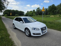 audi a3 1.6tdi/ 2011rok Zambrów - zdjęcie 4