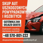 Skup aut powypadkowych /Odbiór auta - GRATIS!, skup aut niesprawnych