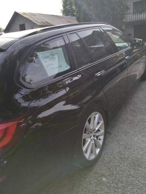 Sprzedam Pilica - zdjęcie 4