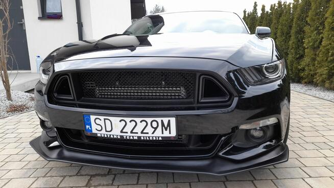 Mustang turbo, performance pack + premium pack + modyfikacje Chruszczobród - zdjęcie 6
