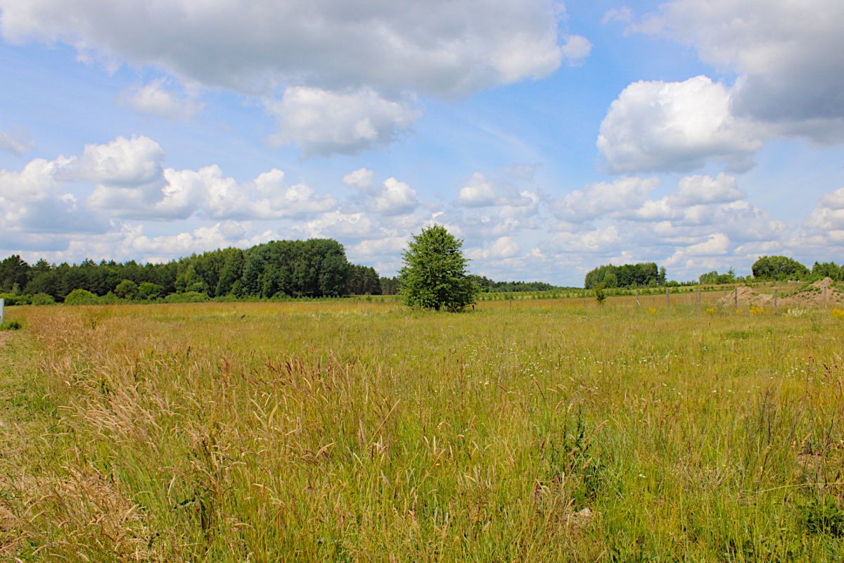 Działka  narożna 1103m2 w Zabłudowie Zabłudów - zdjęcie 8