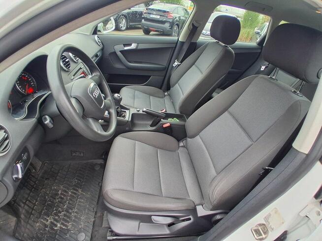 Audi A3 1.6 102 KM Salon Polska TYLKO 106000 KM Przebiegu Kl Słupca - zdjęcie 8