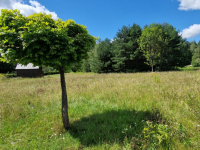 Działka budowlana Słójka Dziewiczy Ług Słójka - zdjęcie 5