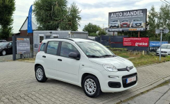 Fiat Panda Bardzo zadbany/Światła do jazdy dziennej/Bezwypadkowy