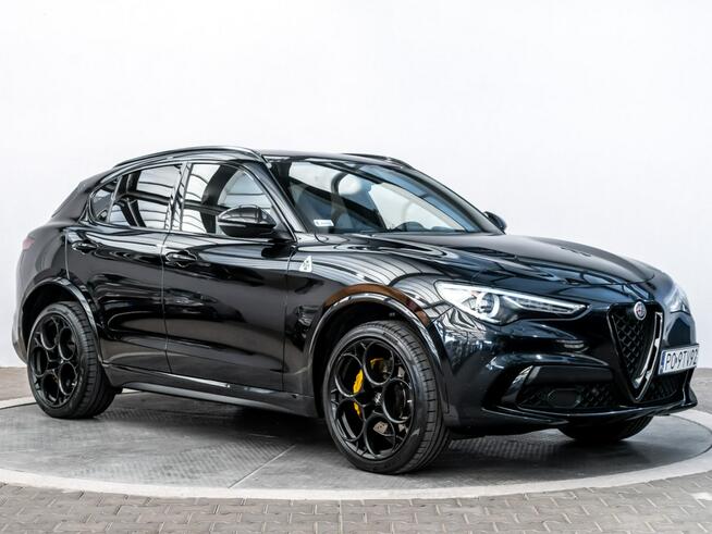 Alfa Romeo Stelvio 2.9 V6 Bi-Turbo Quadrifoglio A8 510KM Salon Polska Poznań - zdjęcie 2