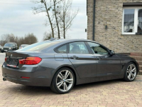 BMW 420 Sadlno - zdjęcie 9