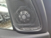 BMW X5 Salon Polska Otwock - zdjęcie 10