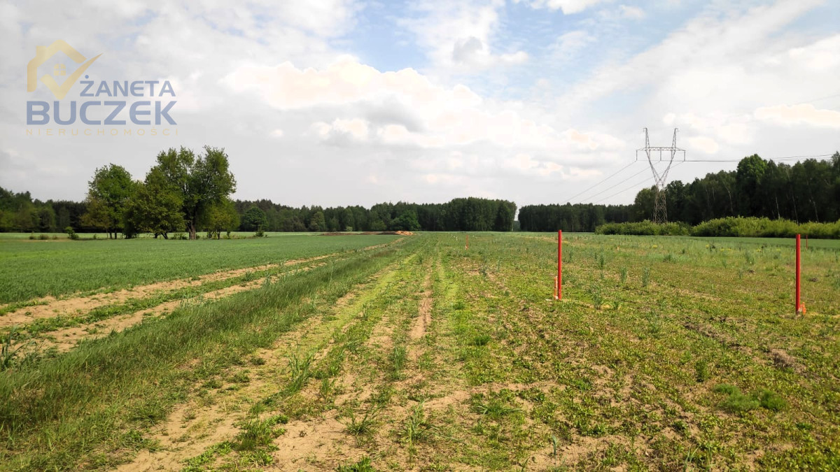 Sprzedam działki budowlane w Orłach Cesin Orły-Cesin - zdjęcie 3