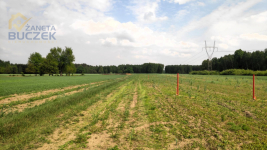 Sprzedam działki budowlane w Orłach Cesin Orły-Cesin - zdjęcie 3