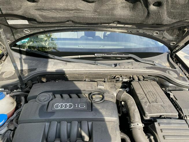 Audi A3 1.6 MPi Bardzo zadbana - oryginalny przebieg - !!! Poznań - zdjęcie 12