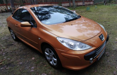 Kabriolet Peugeot 307 CC Celejów - zdjęcie 4