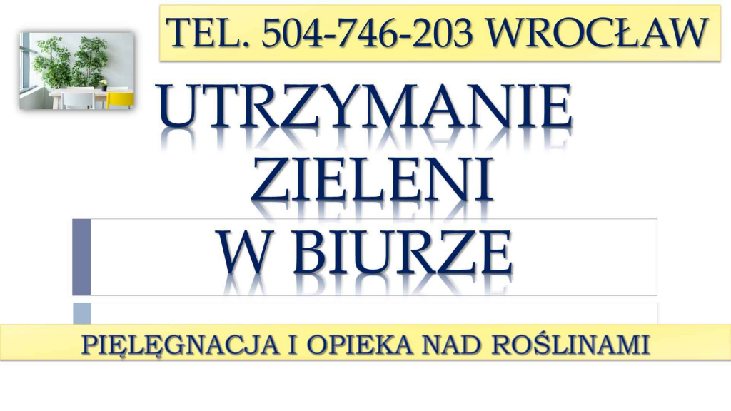 Pielęgnacja roślin w biurze, tel. 504-746-203, Wrocław. Aranżacja . Psie Pole - zdjęcie 3