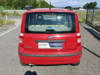 Fiat Panda Lipówki - zdjęcie 7