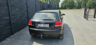 Audi A3 2005r 1.6 Benzyna PIĘKNA z klimatyzacją Brzoza - zdjęcie 7