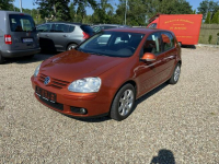 Volkswagen Golf V 1,4 Benzyna 2006r ładny Zadbany Białogard - zdjęcie 2