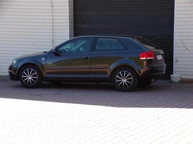 Audi A3 Klimatronic /BOSE /1,6 /mpi /102KM Mikołów - zdjęcie 9