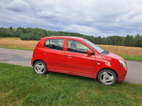 Kia Picanto Włoszczowa - zdjęcie 6