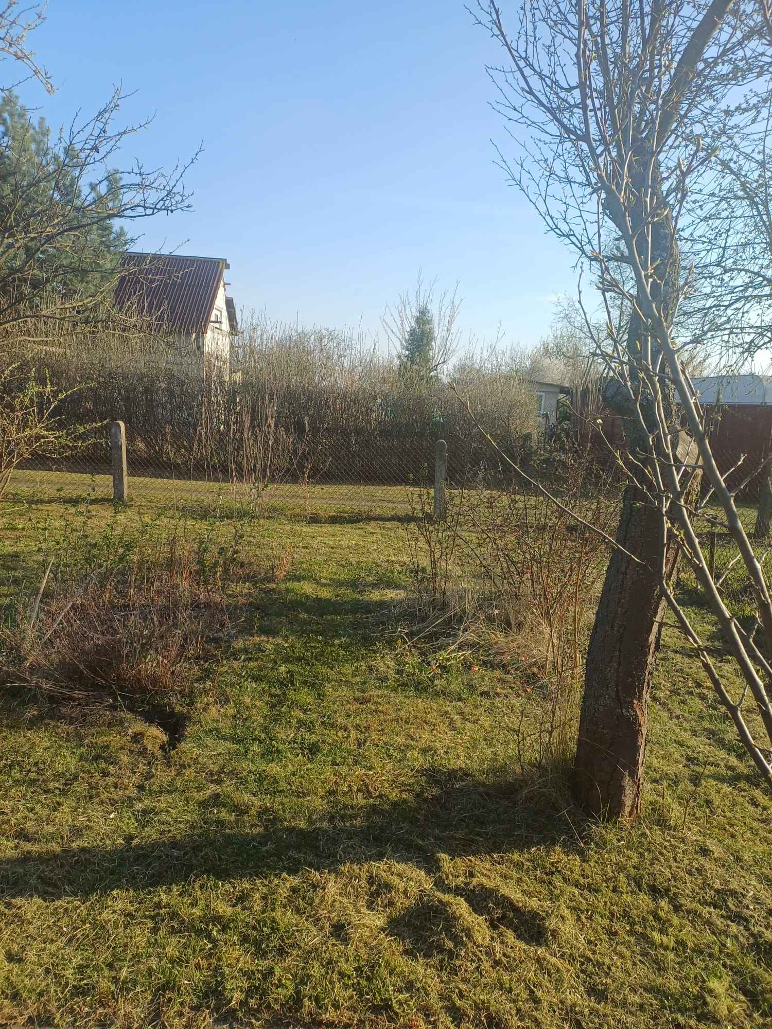 Działka tekreacyjna z murowaną altanką Gorzów Wielkopolski - zdjęcie 6
