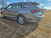 SPRZEDAM Turek - zdjęcie 3