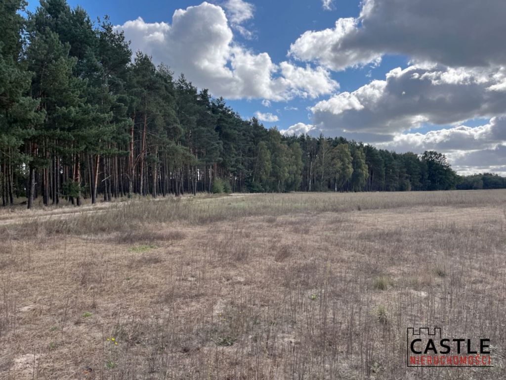 Działka budowlana blisko lasu, Trzciel/Jasieniec Trzciel - zdjęcie 9