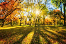 Potrzebujesz gotówki na spłatę chwilówek?