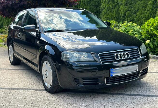 Audi A3 8P 1.6 MPI 101KM Czarna Niski Przebieg Klimatronik Opłacona Wrocław - zdjęcie 2