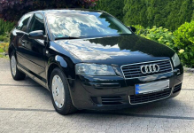 Audi A3 8P 1.6 MPI 101KM Czarna Niski Przebieg Klimatronik Opłacona Wrocław - zdjęcie 2