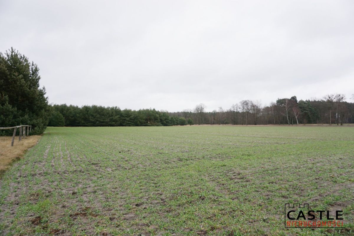 Działka w pięknej okolicy Stefanowice - zdjęcie 1