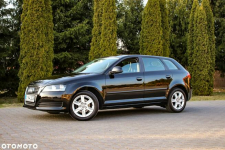 Audi A3 1.6MPI*102KM Ostrów Mazowiecka - zdjęcie 6