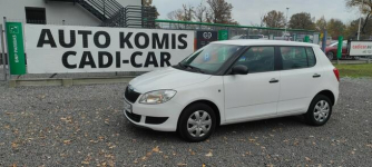 Škoda Fabia Krajowy, stan bardzo dobry. Goczałkowice-Zdrój - zdjęcie 1