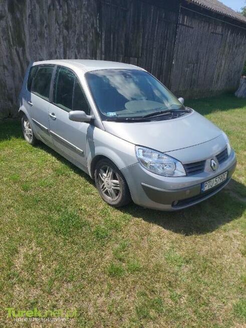 Renault Scenic 1.9 2004 Poroże - zdjęcie 1