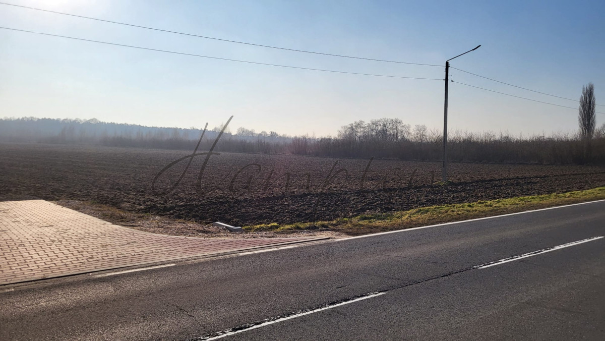 super cena, Kromnów, budowlana, Kampinos Kromnów - zdjęcie 8