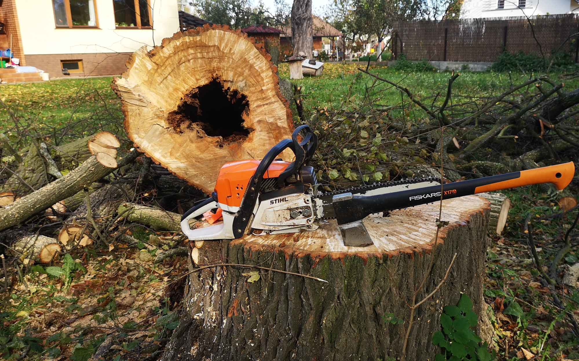 Wycinka drew trudnych metodą alpinistyczną lub z podnośnika. Mielec - zdjęcie 1