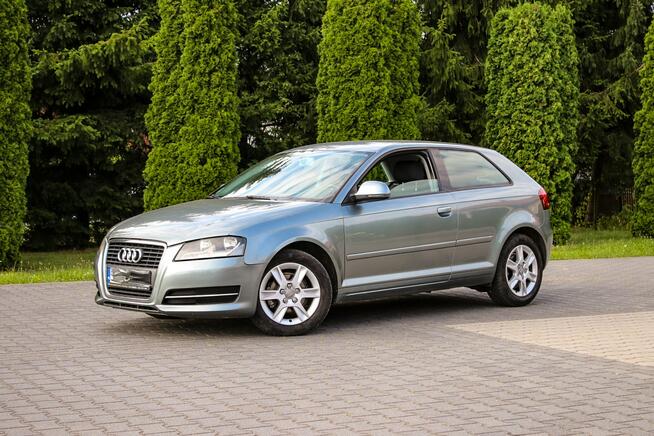 Audi A3 105KM Klimatronik Parktronik Lift Ostrów Mazowiecka - zdjęcie 12
