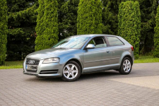 Audi A3 105KM Klimatronik Parktronik Lift Ostrów Mazowiecka - zdjęcie 12