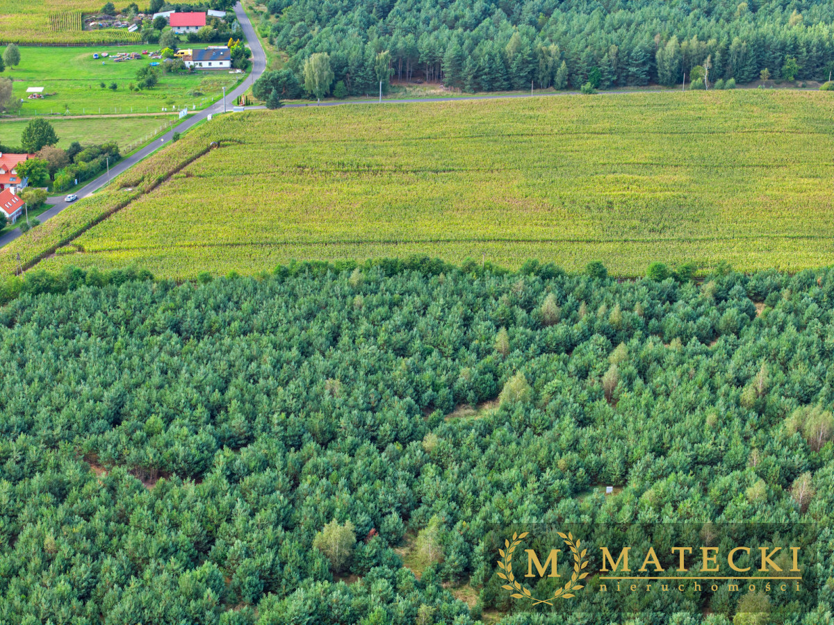 Wyjątkowa, duża działka z drzewami Karczewko - zdjęcie 3