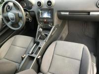 Audi A3 1.6 MPI 102 KM z Niemiec Po wym rozrządu Lesznowola - zdjęcie 11