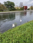Gabinet nad rzeką w centrum Bydgoszczy Bydgoszcz - zdjęcie 2